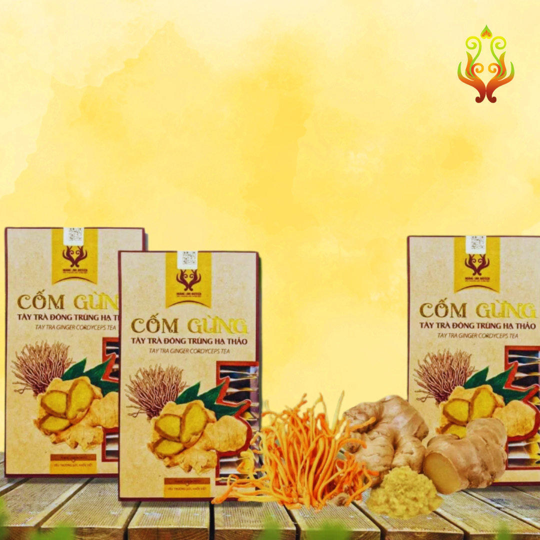 TRÀ CỐM GỪNG ĐÔNG TRÙNG HẠ THẢO | GINGER & CORDYCEPS TEA